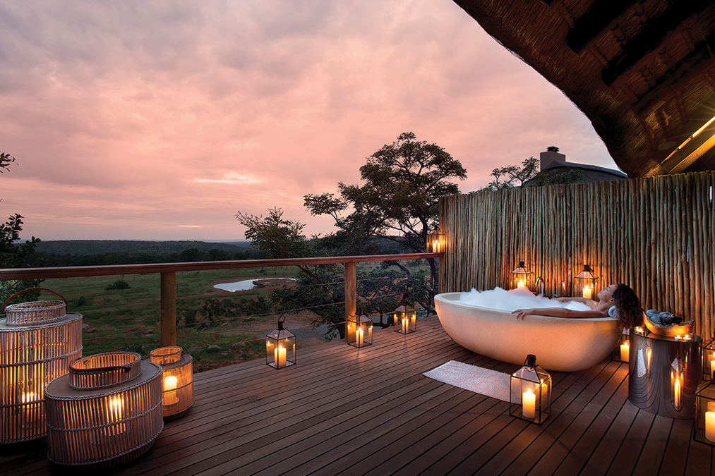 Safari honeymoon in South Africa