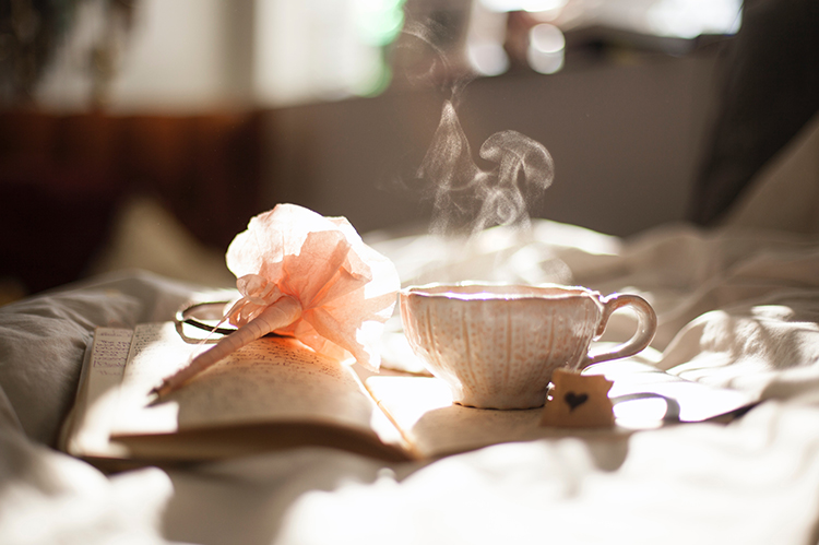 Cup of tea and journal in the morning sun